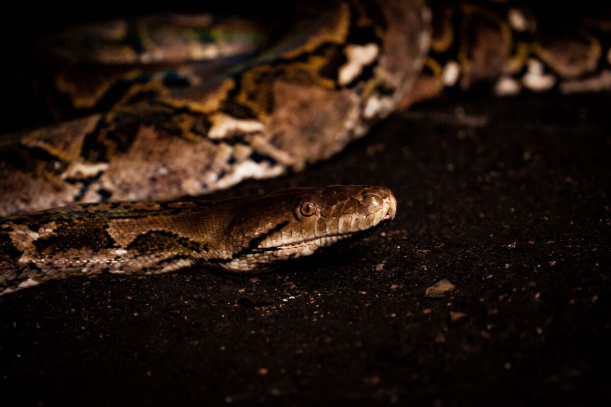 installer python sous après installation premiers